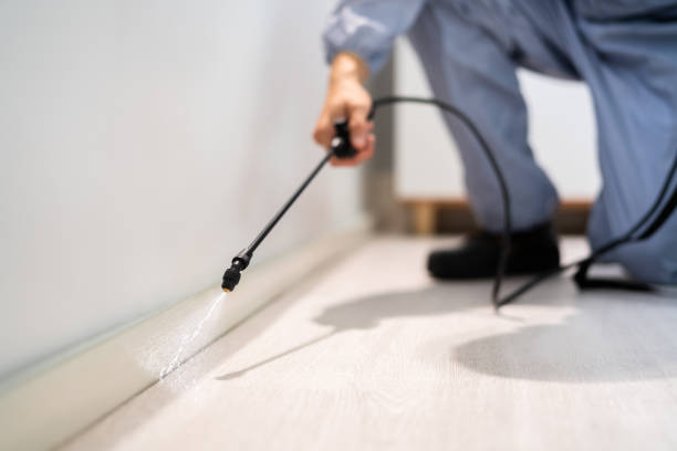 Licensed Termite Control service in Carbondale, KS - Nex Pest Control