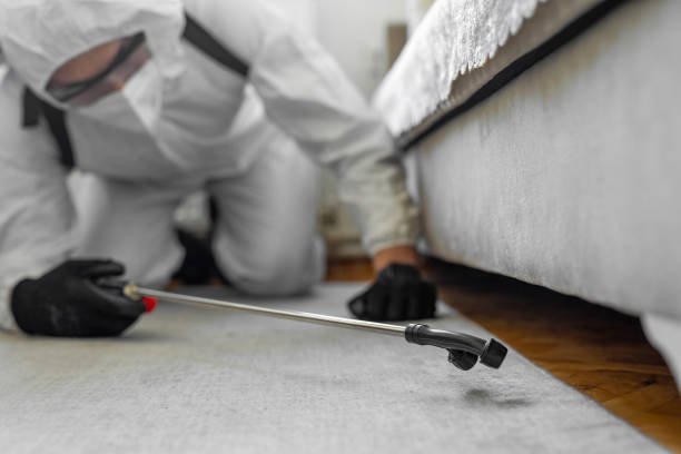 Professional Termite Control technician working in Carbondale, KS