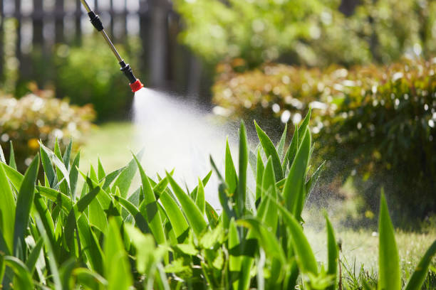 24/7 Emergency Termite Control experts in Carbondale, KS