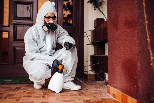 Reliable Termite Control contractor in Carbondale, KS by Nex Pest Control