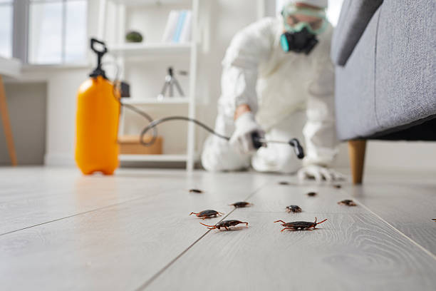 Trusted Mosquito Control service in Carbondale, KS - Nex Pest Control